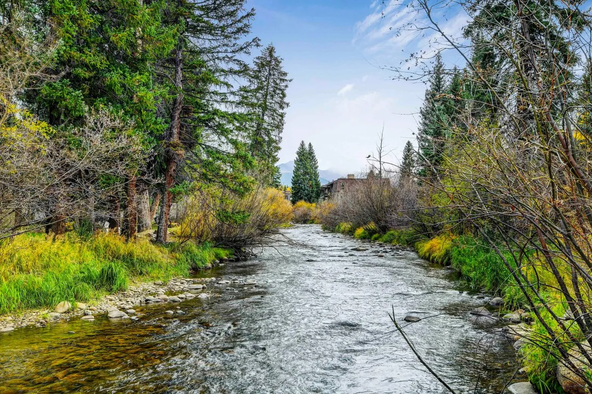 A serene river flows through lush greenery, with towering mountains in the background and foliage lining the banks. The scene captures the tranquility and beauty of the Colorado wilderness, ideal for outdoor activities like fishing, hiking, picnicking, and wildlife watching.
